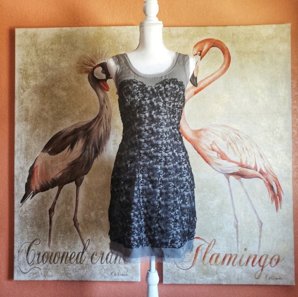 Walter by Walter Baker Silk Mini Dress Lace Black Gray Raw Hem 6